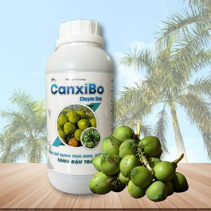 Canxi Bo Chuyên Dừa - Tăng Đậu Trái