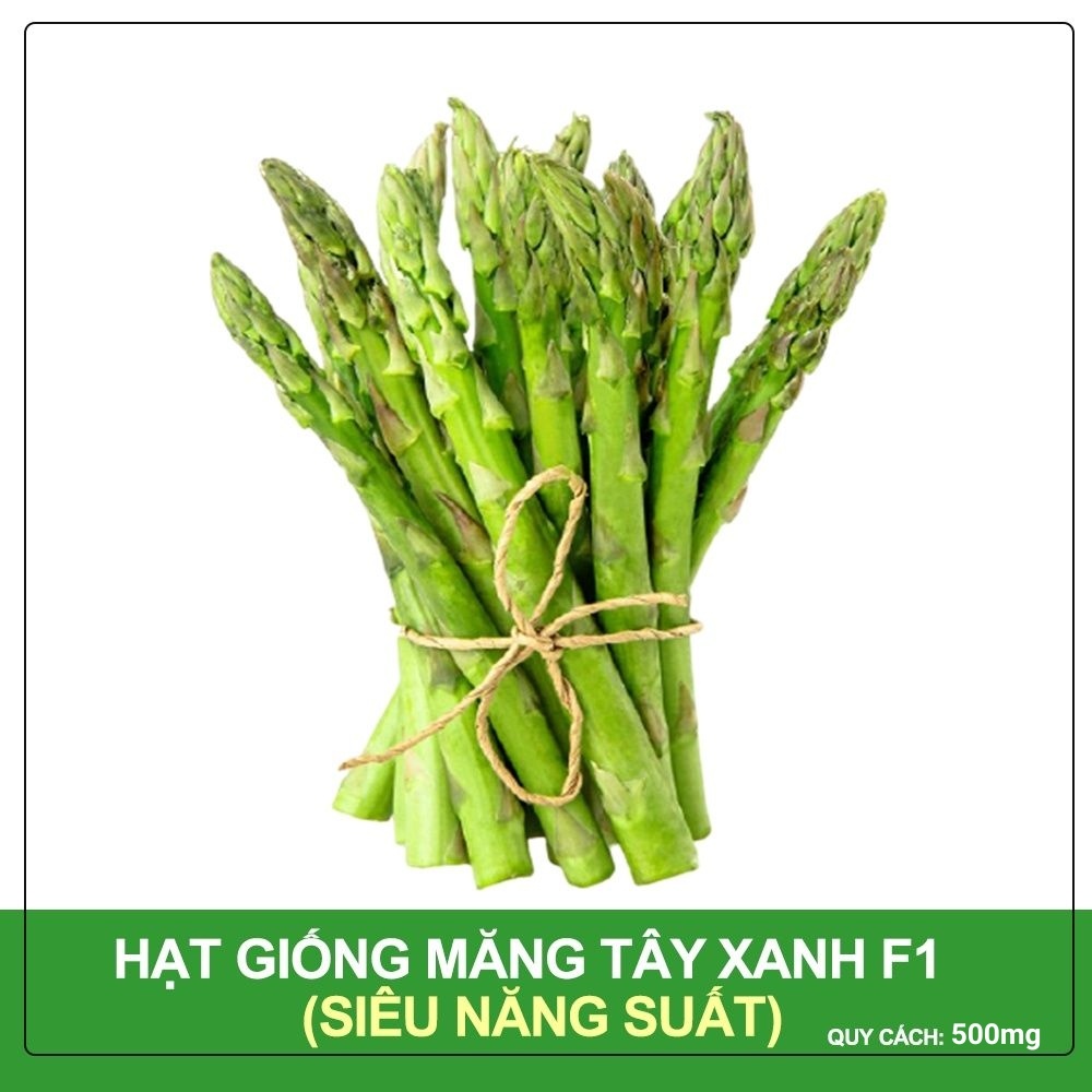 Hạt Giống Măng Tây Xanh Phú Nông Siêu Năng Suất Gói 500 mg
