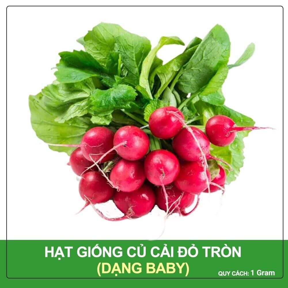 Hạt Giống Củ Cải Đỏ Tròn Phú Nông Gói 1 Gram