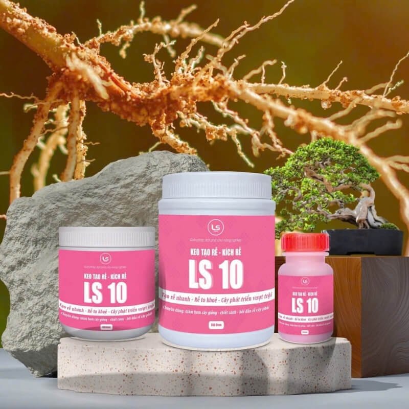 Keo Tạo Rễ - Keo Kích Rễ LS 10
