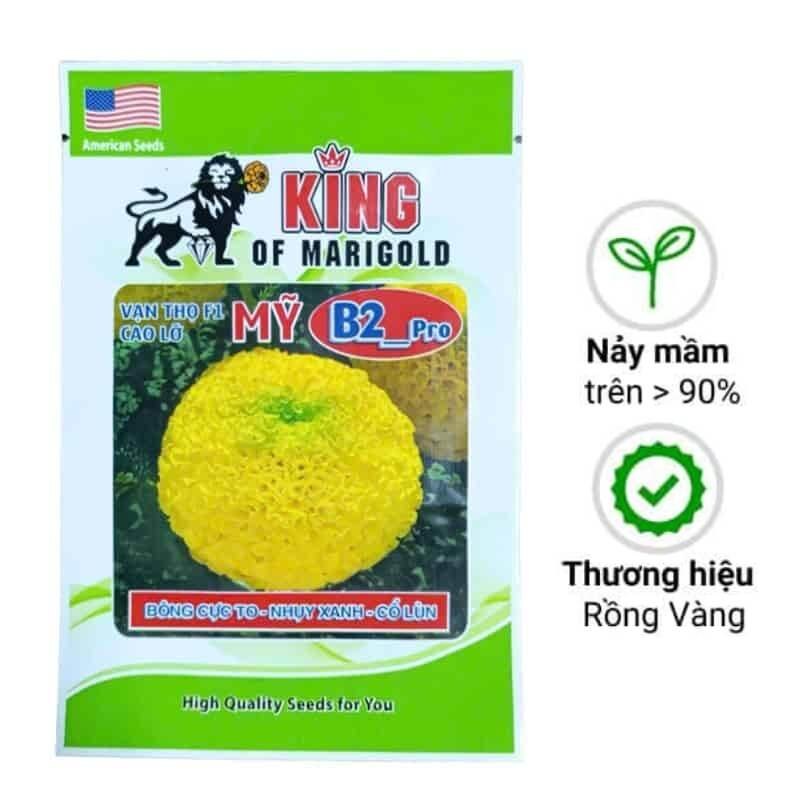 Hạt Giống Hoa Cúc Vạn Thọ Rồng Vàng B2 Cao Lỡ Bông To - Cổ Lùn - Nhụy Xanh