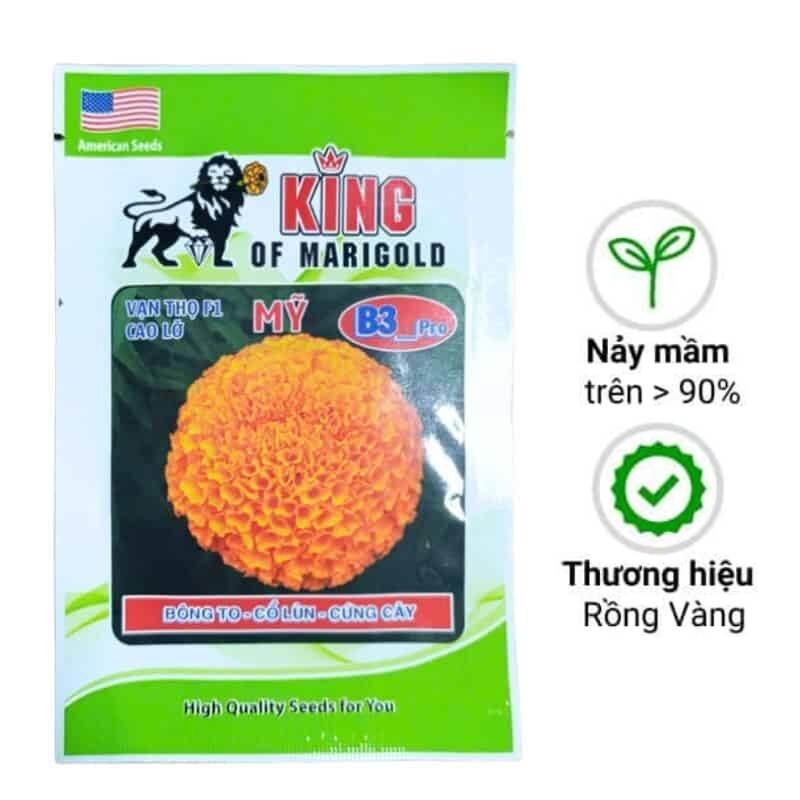 Hạt Giống Hoa Vạn Thọ Rồng Vàng B3 Cao Lỡ - Bông To - Cổ Lùn