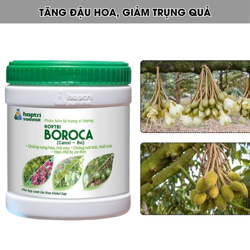 Bo Roca BOROCA HỢP TRÍ (CANXI BO HỢP TRÍ) | Chống Rụng Hoa, Rụng Trái, Chống ...