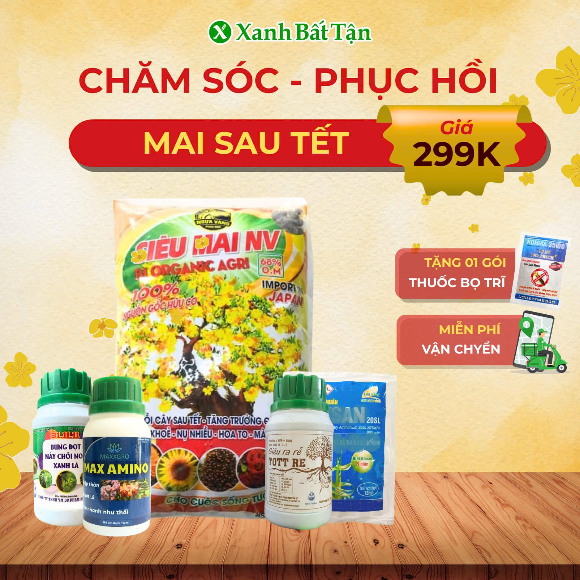 Bộ Phân Bón Chăm Sóc Mai Sau Tết Và Phục Hồi Mai Sau Tết