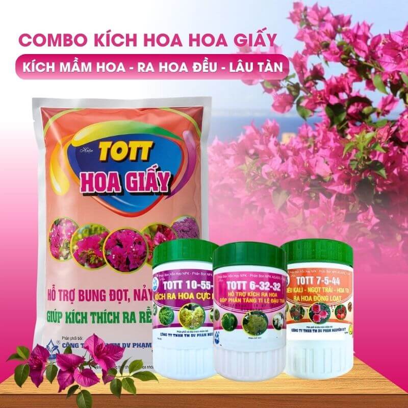 Bộ Phân Bón Kích Hoa Giấy Ra Hoa Đẹp, Nhiều Hoa, Hoa Lâu Tàn | RHG