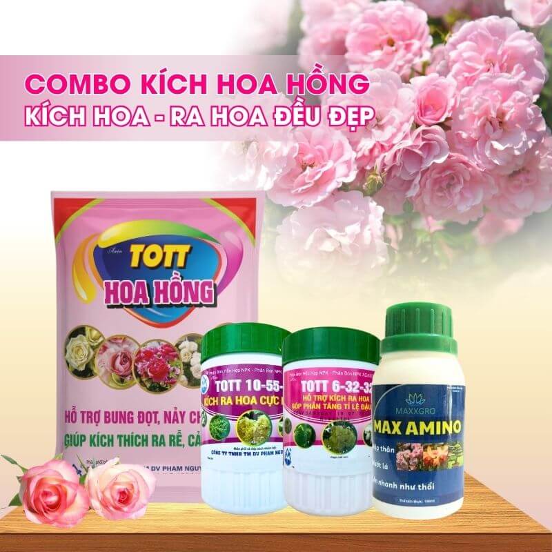Bộ Phân Bón Kích Hoa Hồng Ra Nhiều Hoa, Hoa Nở Đẹp, Chuẩn Phom, Lâu Tàn | RHH