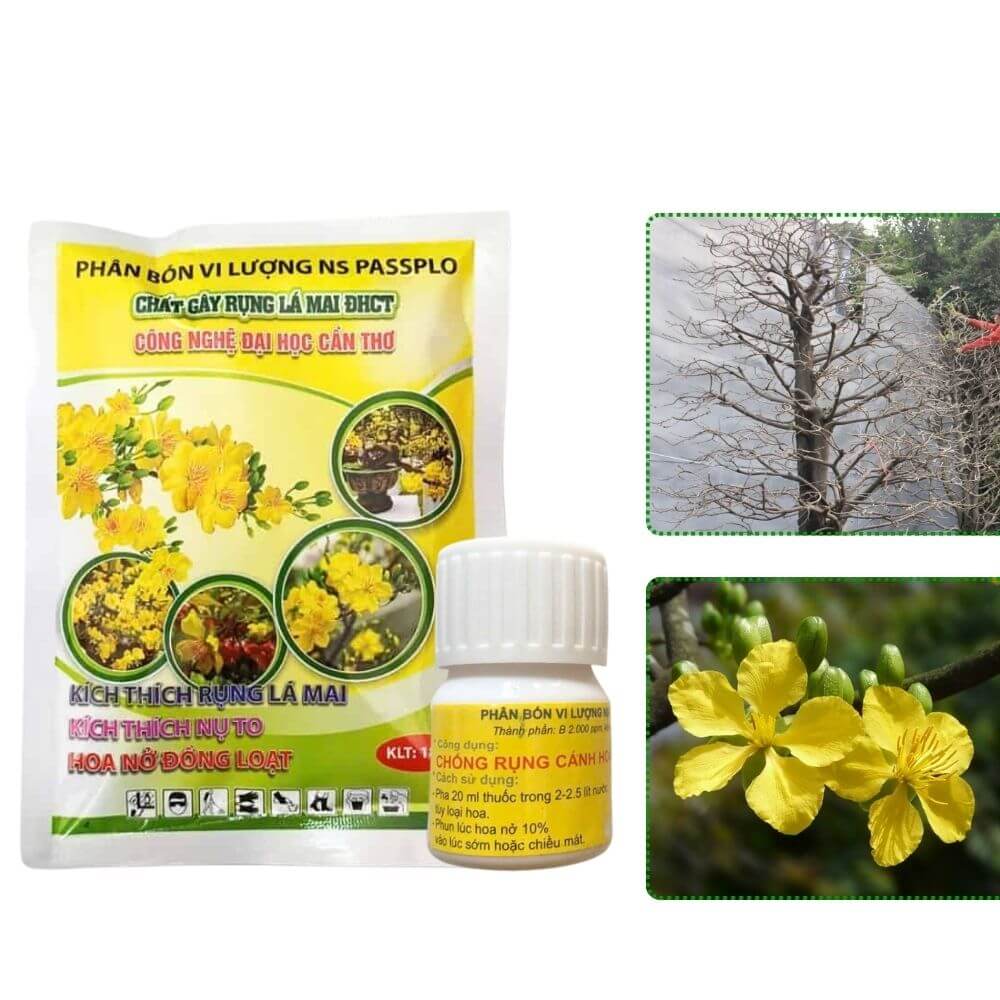Bộ Phân Làm Rụng Lá Mai Và Chất Chống Rụng Hoa Mai ĐHCT