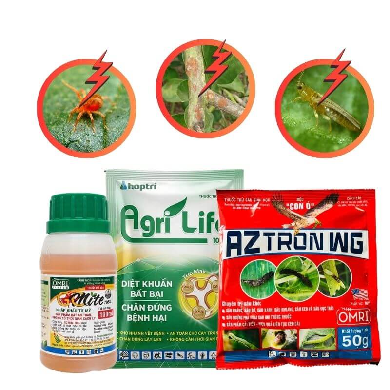 COMBO ĐẶC TRỊ BỌ TRĨ, NHỆN ĐỎ, NẤM BỆNH TRÊN HOA HỒNG, MAI VÀNG, PHONG LAN, HOA GIẤY