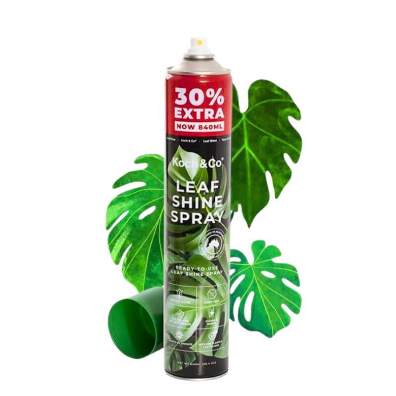 Chai Xịt Bóng Lá Koch & Co | Làm Bóng Lá, Dưỡng Lá Cho Hoa Lan, Cây Kiểng Lá Chai 840ml