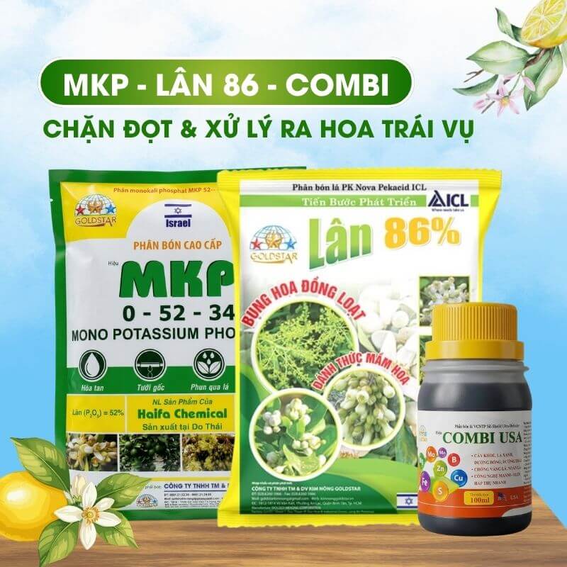 Combo LÂN 86 - COMBI - MKP chặn đọt, xử lý ra hoa và hạn chế rụng hoa