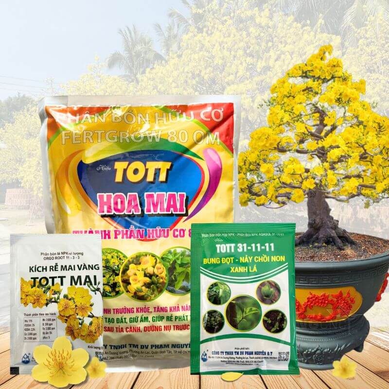 Combo Phân Bón Chăm Sóc - Phục Hồi Mai Sau Tết - GÓI CƠ BẢN