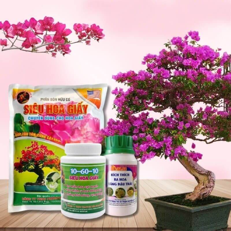 Combo SIÊU RA HOA CHO HOA GIẤY – Kích hoa mạnh, nở đều, bền màu
