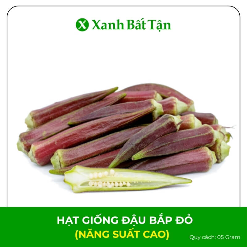 Hạt Giống Đậu Bắp Đỏ | Dễ Trồng, Sinh Trưởng Nhanh, Năng Suất Cao
