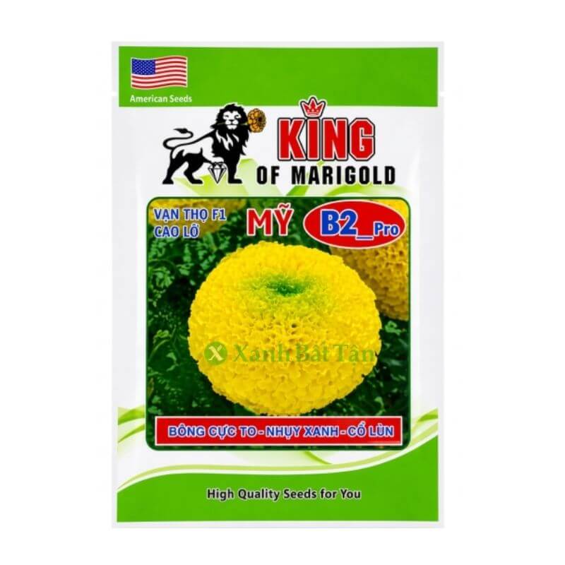 Hạt Giống Hoa Cúc Vạn Thọ Rồng Vàng B2 Cao Lỡ Bông To - Cổ Lùn - Nhụy Xanh