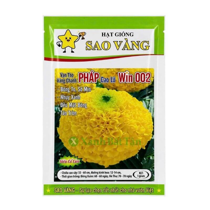 Hạt Giống Hoa Vạn Thọ Pháp F1 Win 002 Vàng Chanh Cao Lỡ, Nhuỵ Xanh