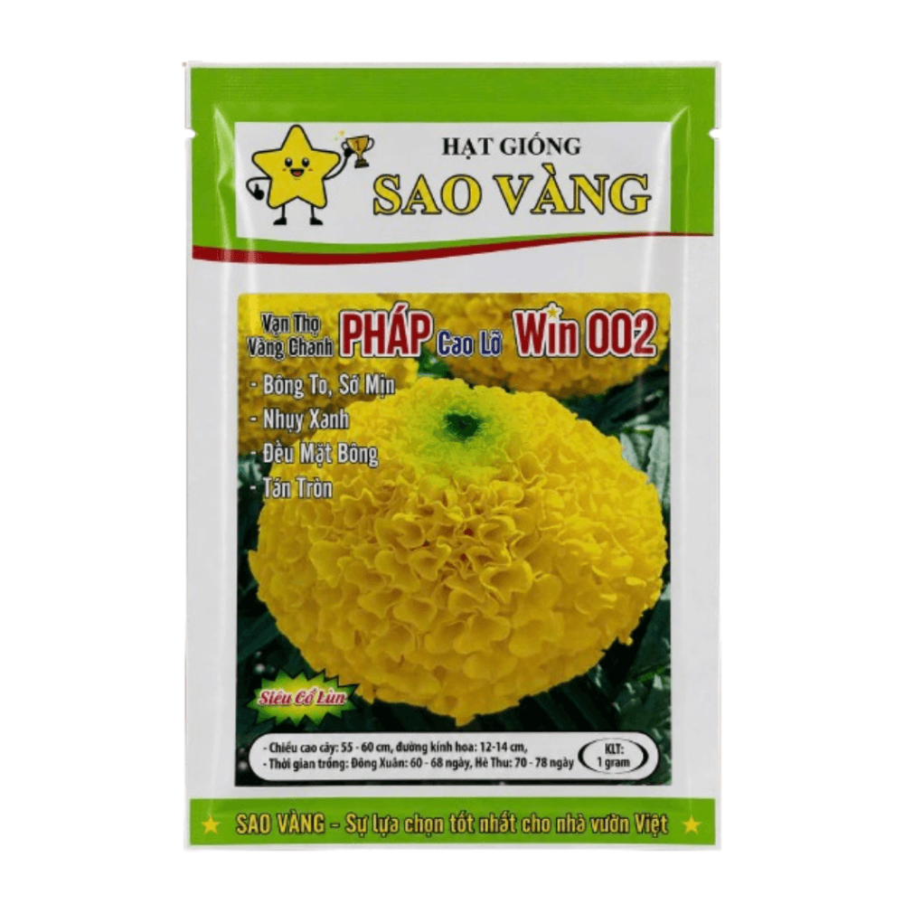Hạt Giống Hoa Vạn Thọ Pháp F1 Win 002 Vàng Chanh Cao Lỡ, Nhuỵ Xanh