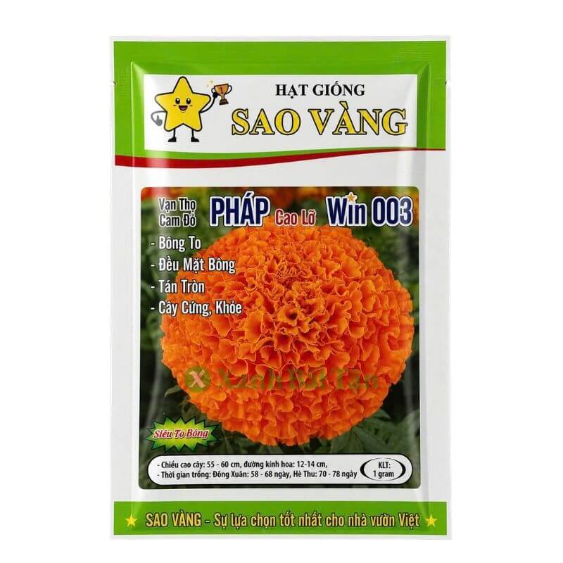 Hạt Giống Hoa Vạn Thọ Pháp F1 Win 003 Cam Đỏ Cao Lỡ