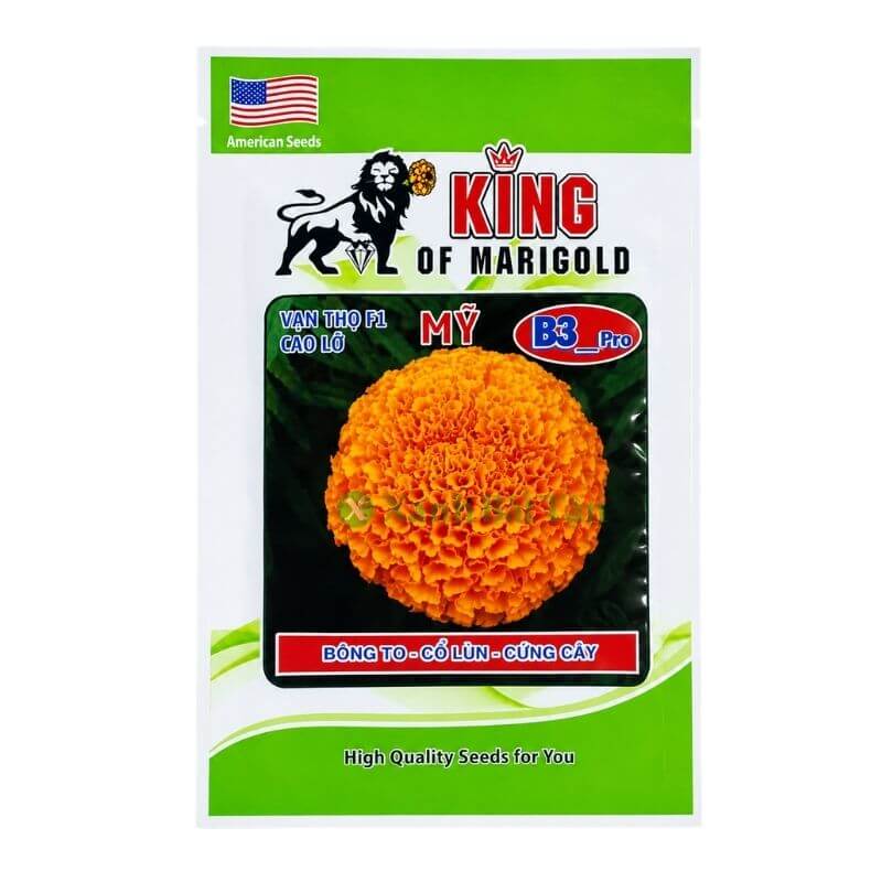Hạt Giống Hoa Vạn Thọ Rồng Vàng B3 Cao Lỡ - Bông To - Cổ Lùn