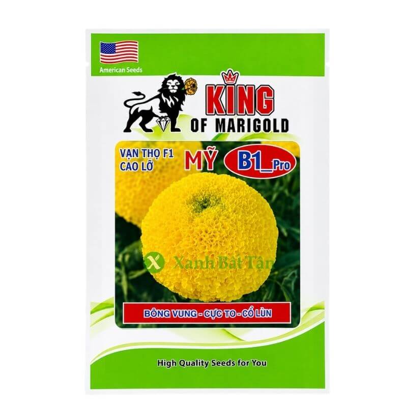 Hạt Giống Vạn Thọ Rồng Vàng B1 Cao Lỡ - Bông Vung - Cổ Lùn