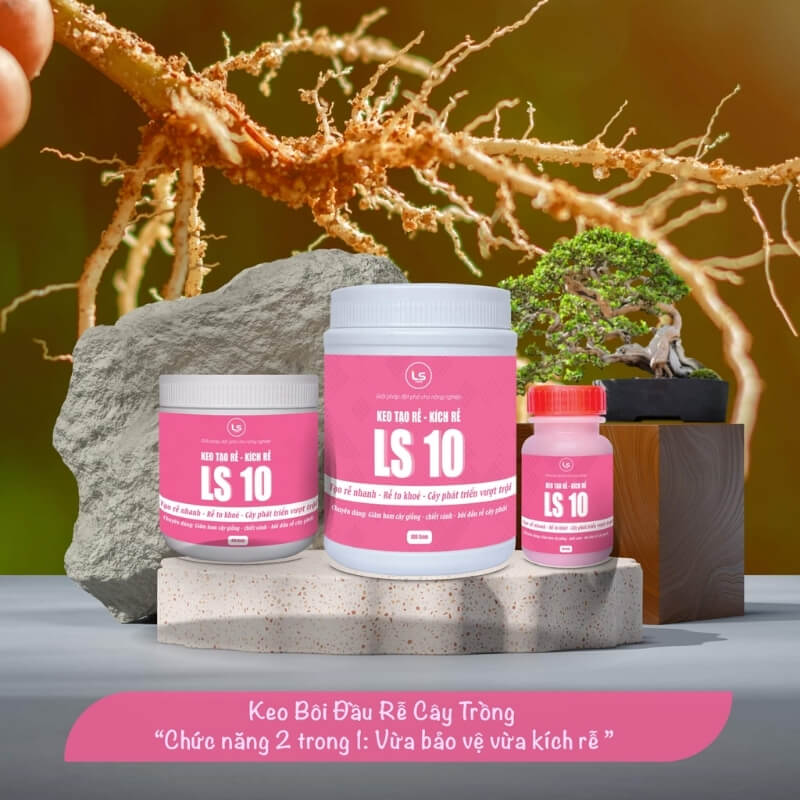 Keo Tạo Rễ - Keo Kích Rễ LS 10