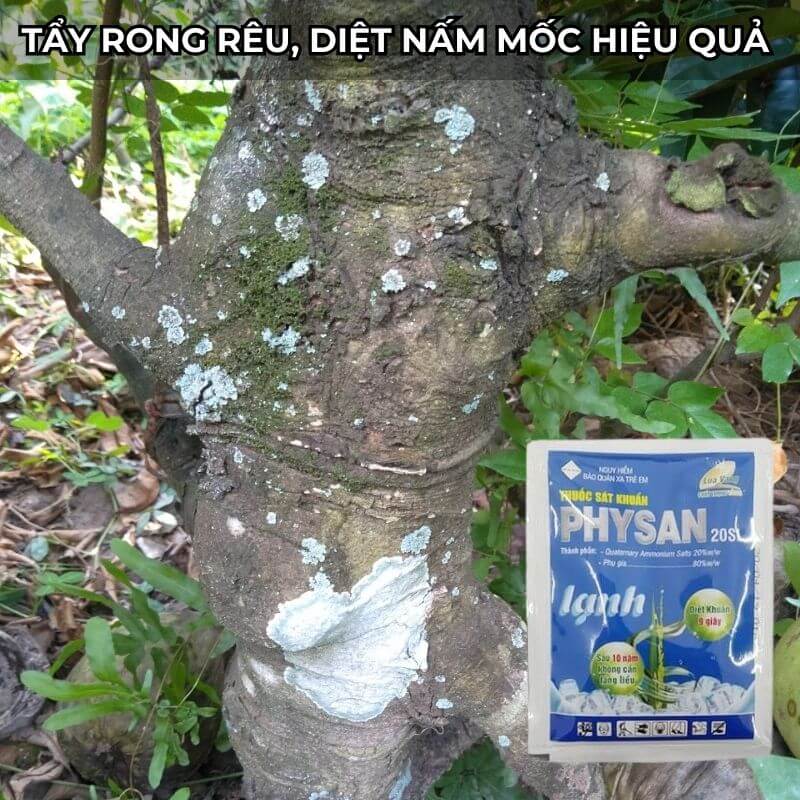 Physan Lạnh 20SL Sát Khuẩn Trừ Nấm Mốc, Tẩy Rong Rêu