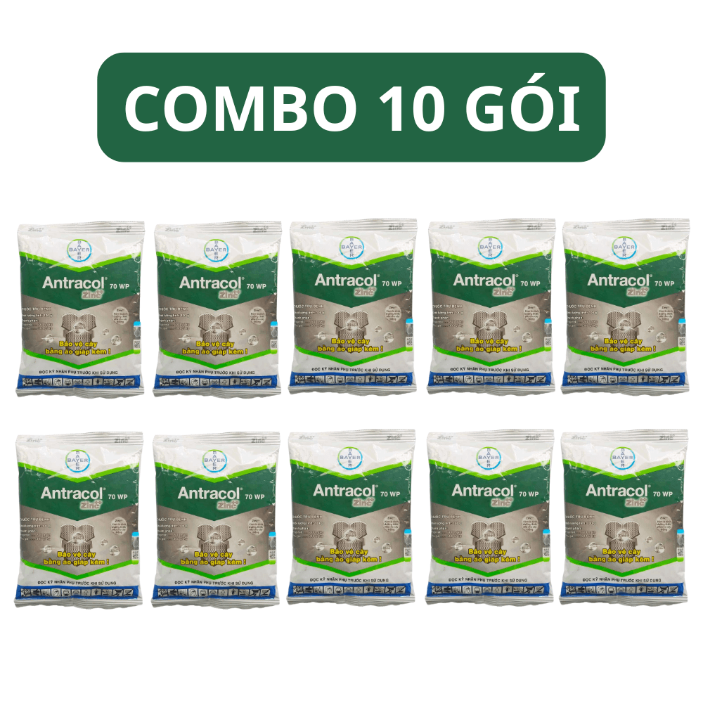 Thuốc Trừ Nấm Bệnh Antracol 70 WP - COMBO 10 GÓI