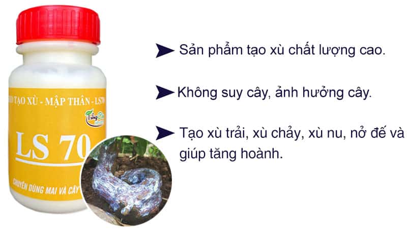 Keo Tạo Xù Cho Mai Vàng LS 70