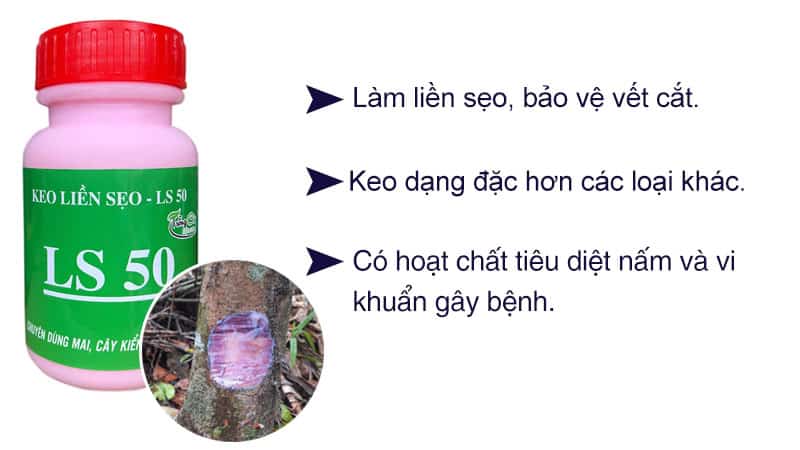 Keo Liền Da Cho Cây LS50