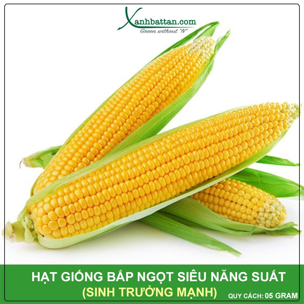 Hạt Giống Bắp Ngọt Phú Nông