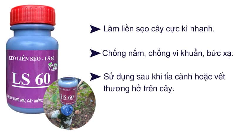 Keo Liền Sẹo Cây LS 60 Đen