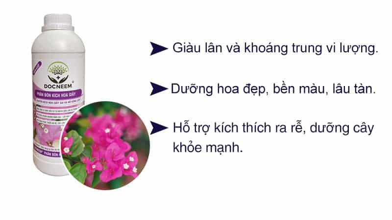 Phân Bón Kích Hoa Giấy Docneem