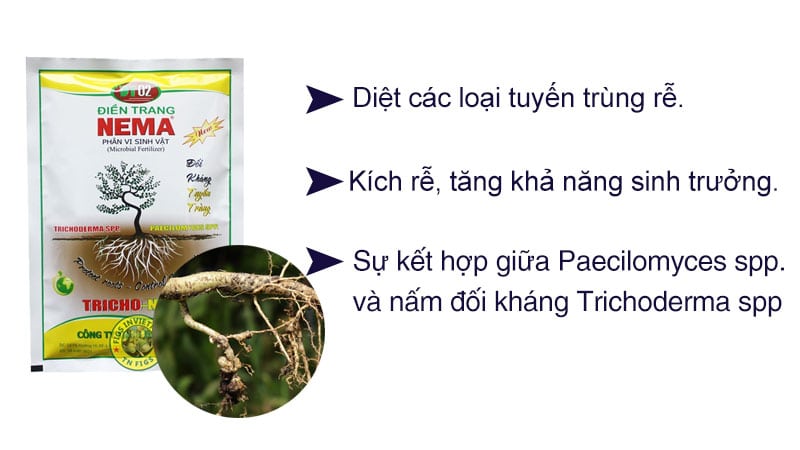 Chế Phẩm vi sinh trị tuyến trùng rễ