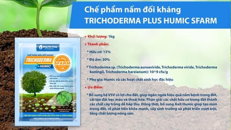 Nấm đối kháng nấm bệnh Trichoderma Sfarm