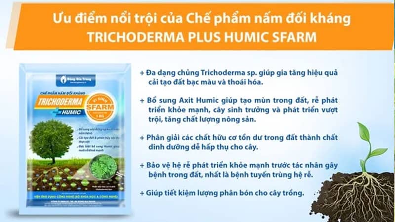 Tricho Sfarm chứa hàm lượng vi sinh vật cực cao