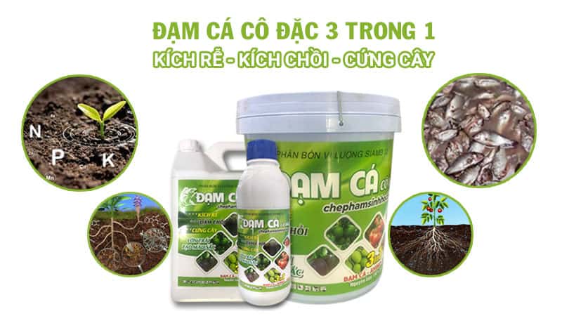 Đạm cá cô đặc kích rễ - kích chồi - cứng cây