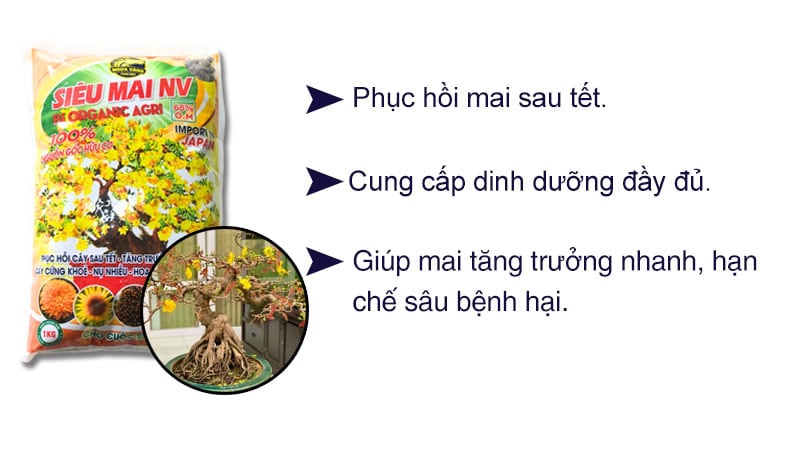 Phân bón hữu cơ phục hồi mai sau tết