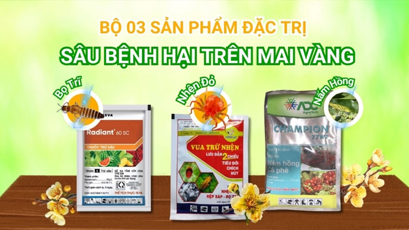 Bộ 3 sản phẩm trị bọ trĩ, nhện đỏ, nấm hồng trên mai vàng