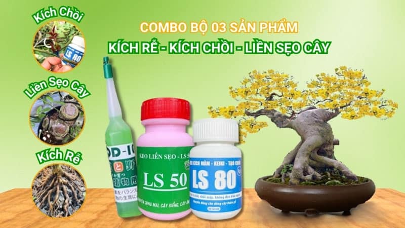 Combo bộ 3 sản phẩm kích rễ - kích chồi - liền sẹo cây