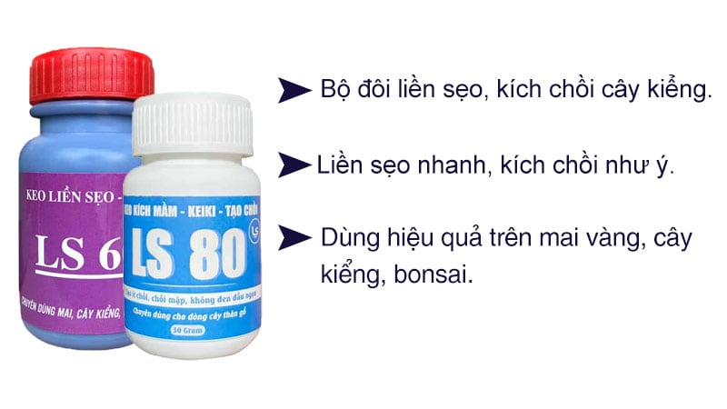 Bộ đôi keo liền sẹo LS60 và keo kích chồi LS80