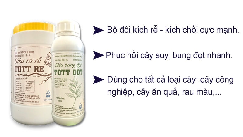 Bộ đôi kích rễ, kích chồi cực mạnh trên mọi loại cây