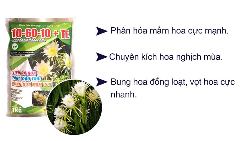 Phân bón lá NPK 10-60-10 siêu kích mầm hoa