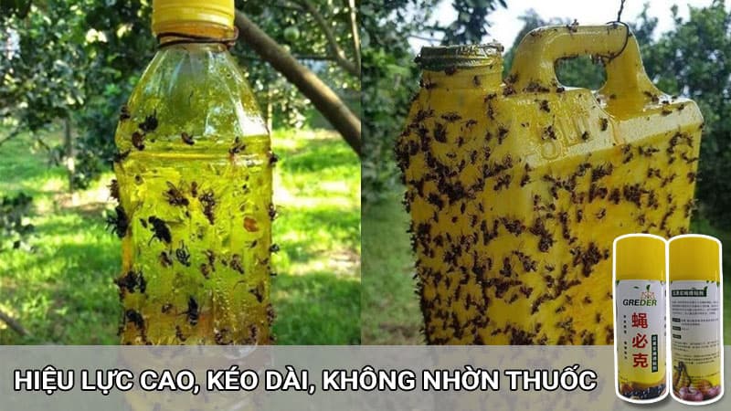 chai xịt bẫy ruồi vàng trên cây ăn quả