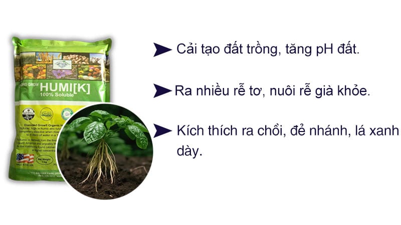 Humic Mỹ chuyên kích rễ, hạ phèn đất trồng