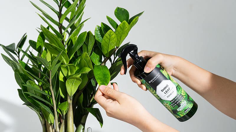 xịt bóng lá leafshine monrovia chai 500ml