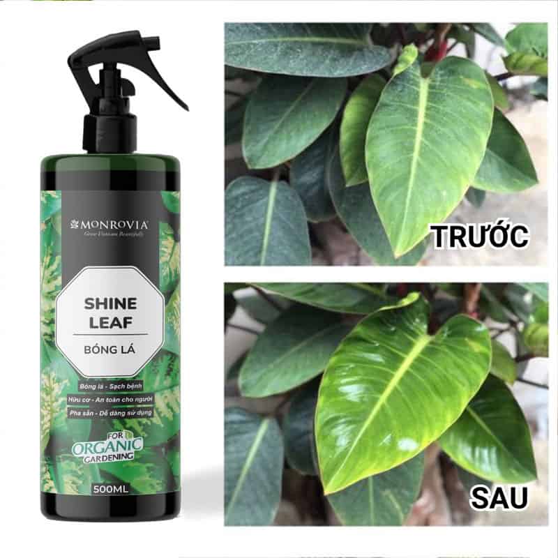 xịt bóng lá leafshine dưỡng lá bóng khỏe