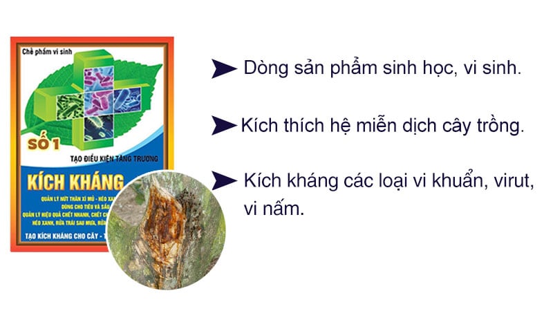 Chế phẩm sinh học kích kháng số 1