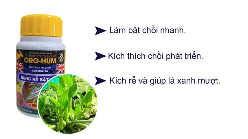 Phân bón kích chồi, kích rễ Org hum