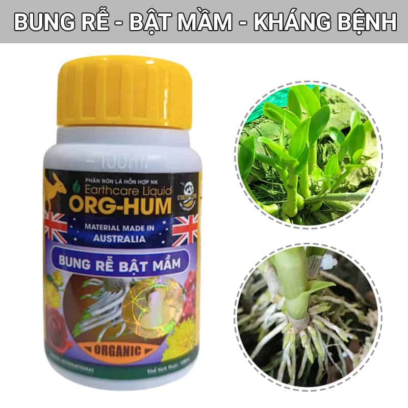 Phân bón orghum bung rễ bật mầm