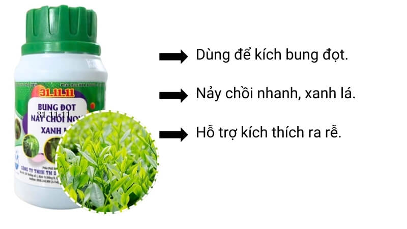 công dụng của phân npk 31-11-11