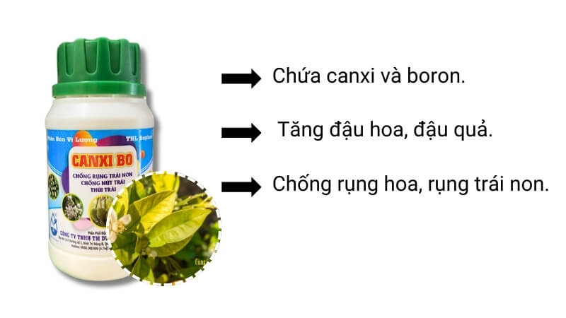 công dụng của canxi bo với cây trồng